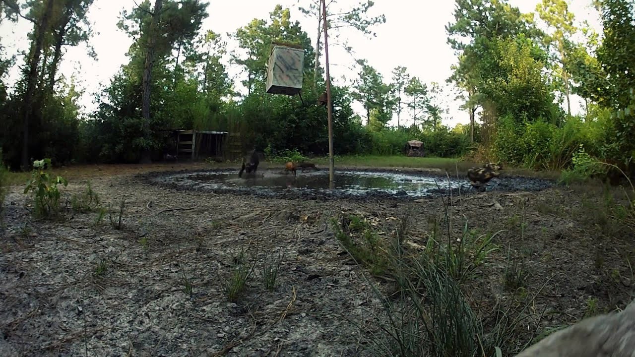 Cameraman filming outdoor hunting content