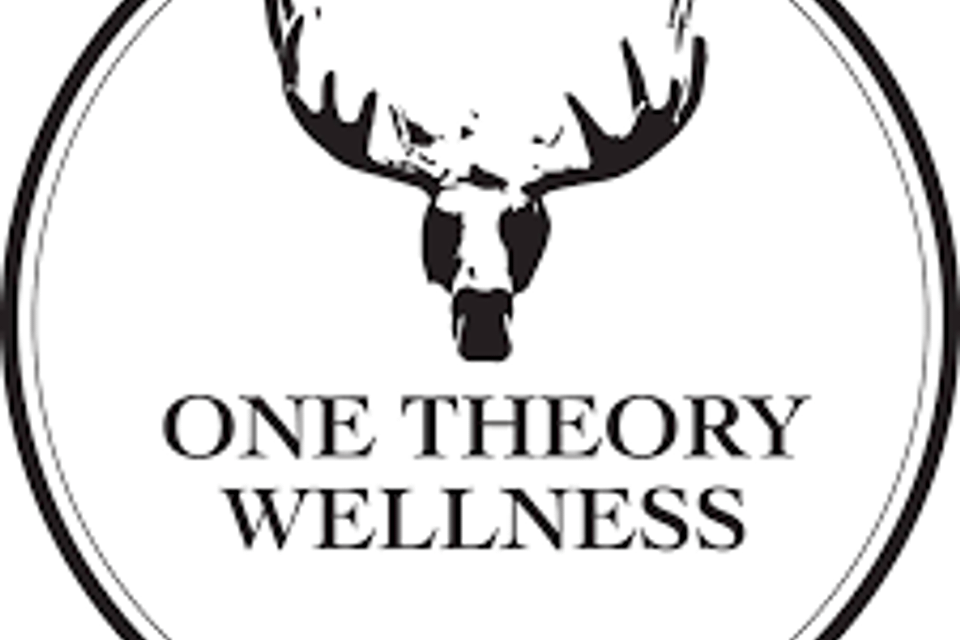 One Theory Wellness logo