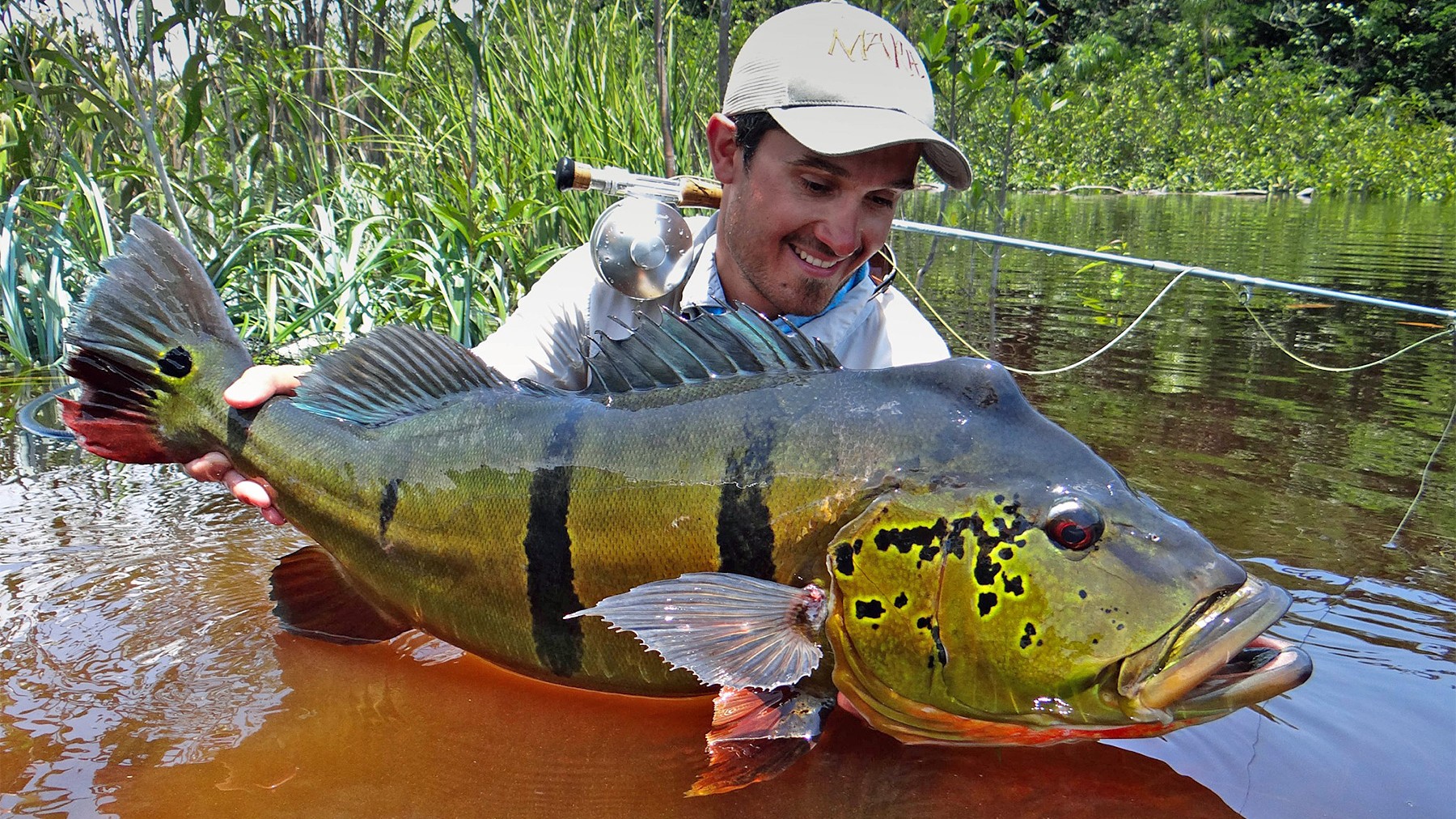 Amazon Peacock Bass Fishing